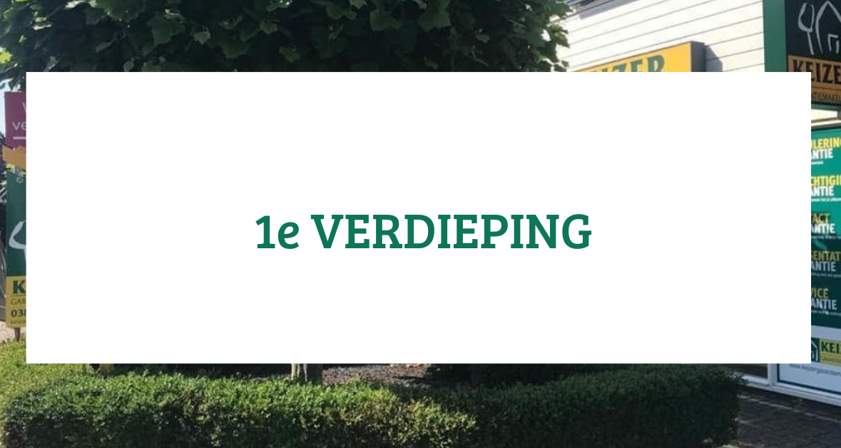 Te koop: Foto Woonhuis aan de Tarweakker 1 in Wezep