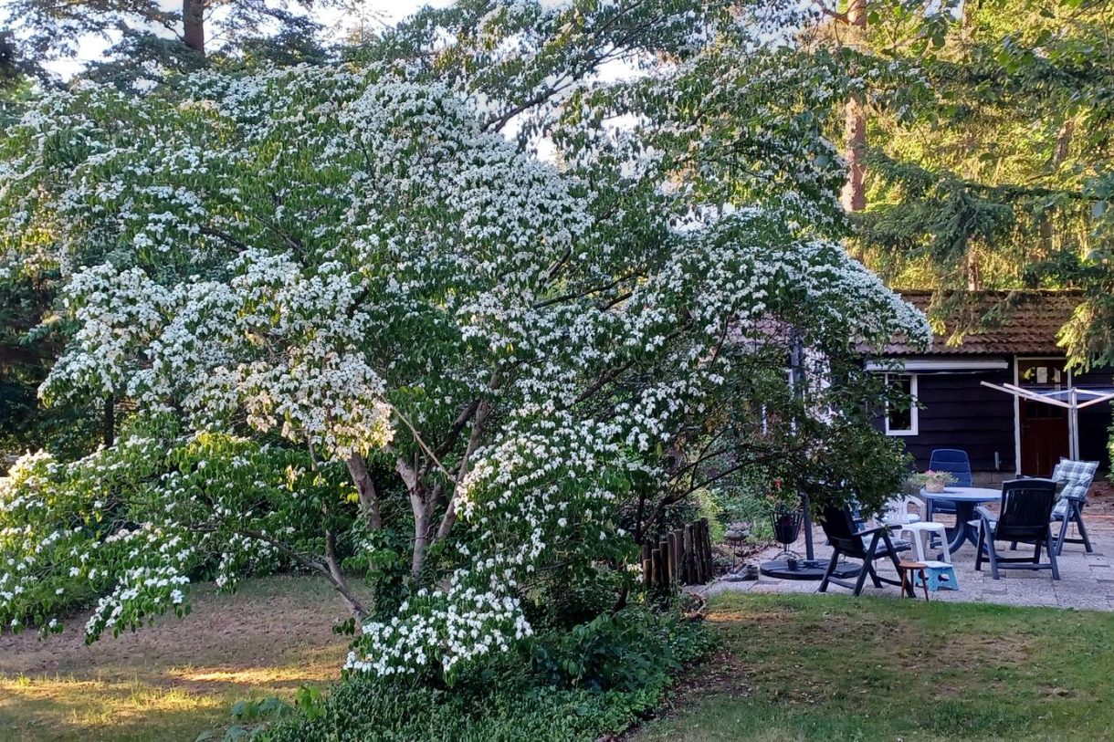 Te koop: Foto Woonhuis aan de Prinses Irenelaan 26 in Wezep