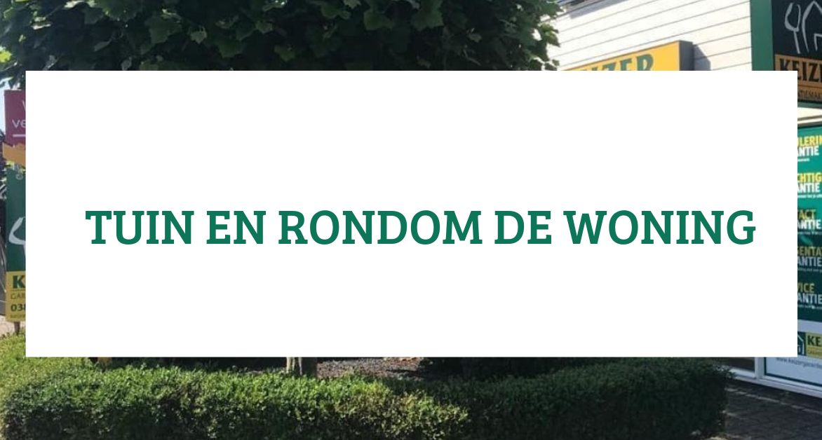 Te koop: Foto Woonhuis aan de Prinses Beatrixlaan 11 in Wezep