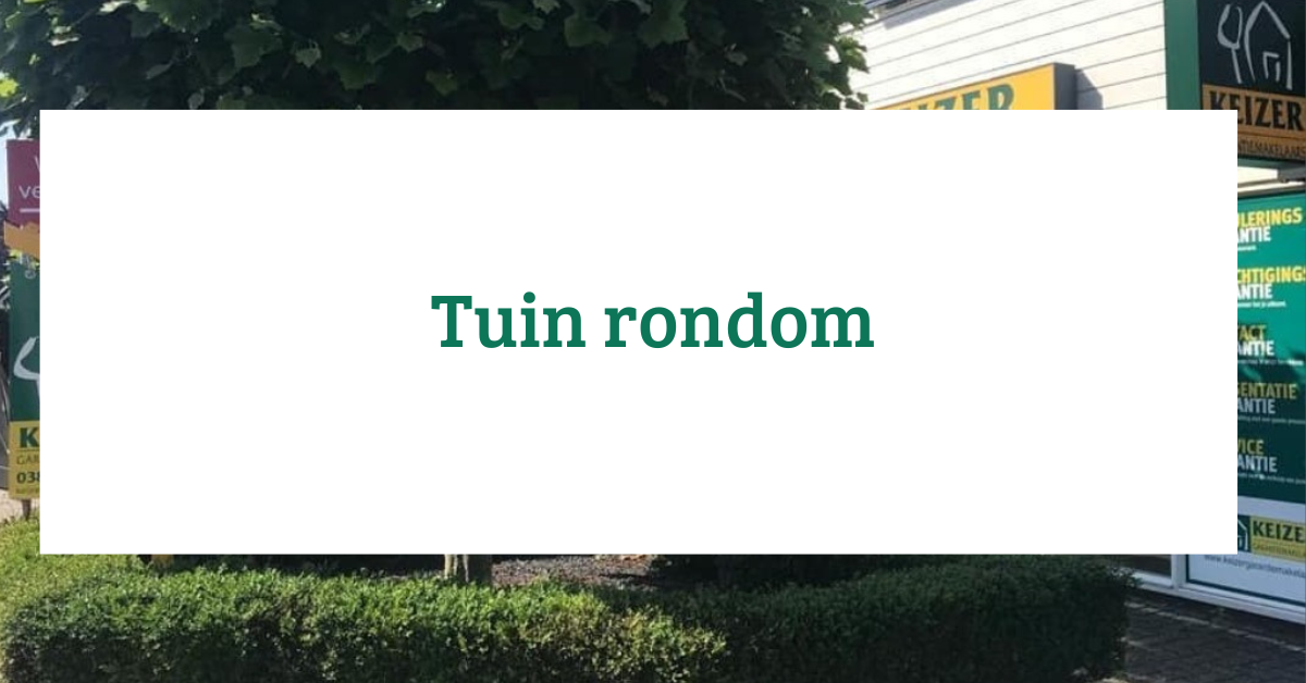 Te koop: Foto Woonhuis aan de Koningin Wilhelminalaan 19 in Wezep