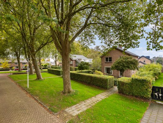 Hoofdfoto van Zwolle Goeman Borgesiuslaan 1